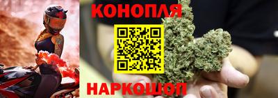 прущие грибы Бугуруслан