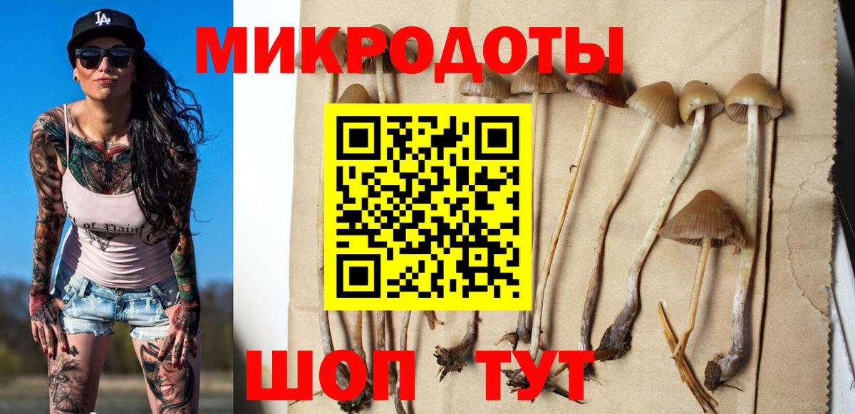 Галлюциногенные грибы прущие грибы  Галлюциногенные грибы мицелий  Среднеуральск  купить наркотик  Вход с VPN 